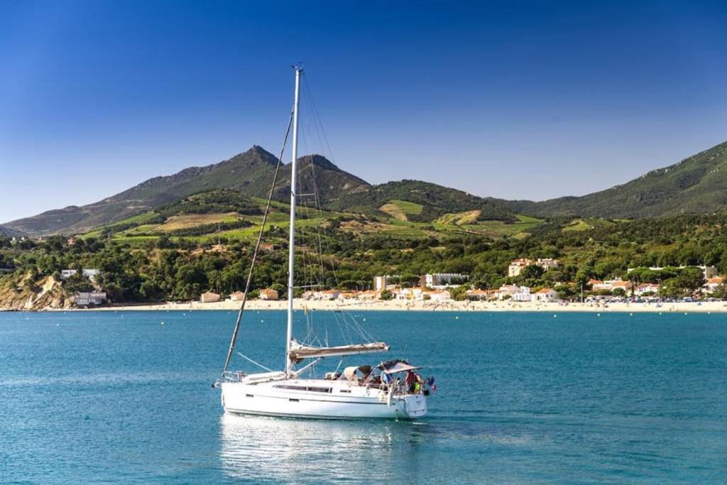 "Les Bambous" Studio Cosy Climatise Au Calme De 37 M2 Parking Gratuit A Argeles Sur Mer Buitenkant foto