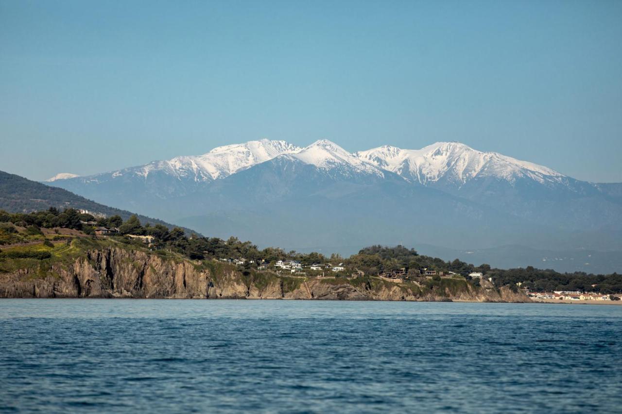 "Les Bambous" Studio Cosy Climatise Au Calme De 37 M2 Parking Gratuit A Argeles Sur Mer Buitenkant foto